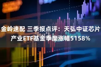 金岭速配 三季报点评：天弘中证芯片产业ETF基金季度涨幅5158%